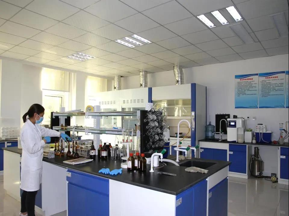 BG大游·(集团)视讯官方网站