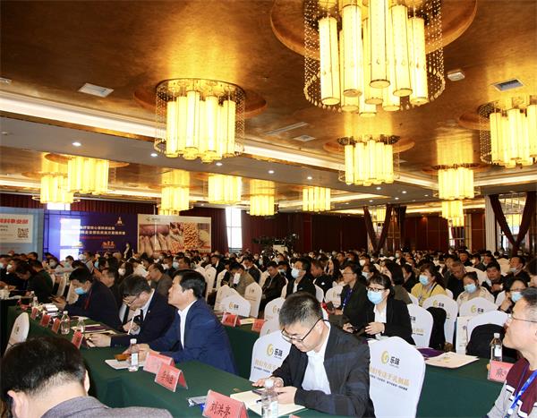 BG大游·(集团)视讯官方网站