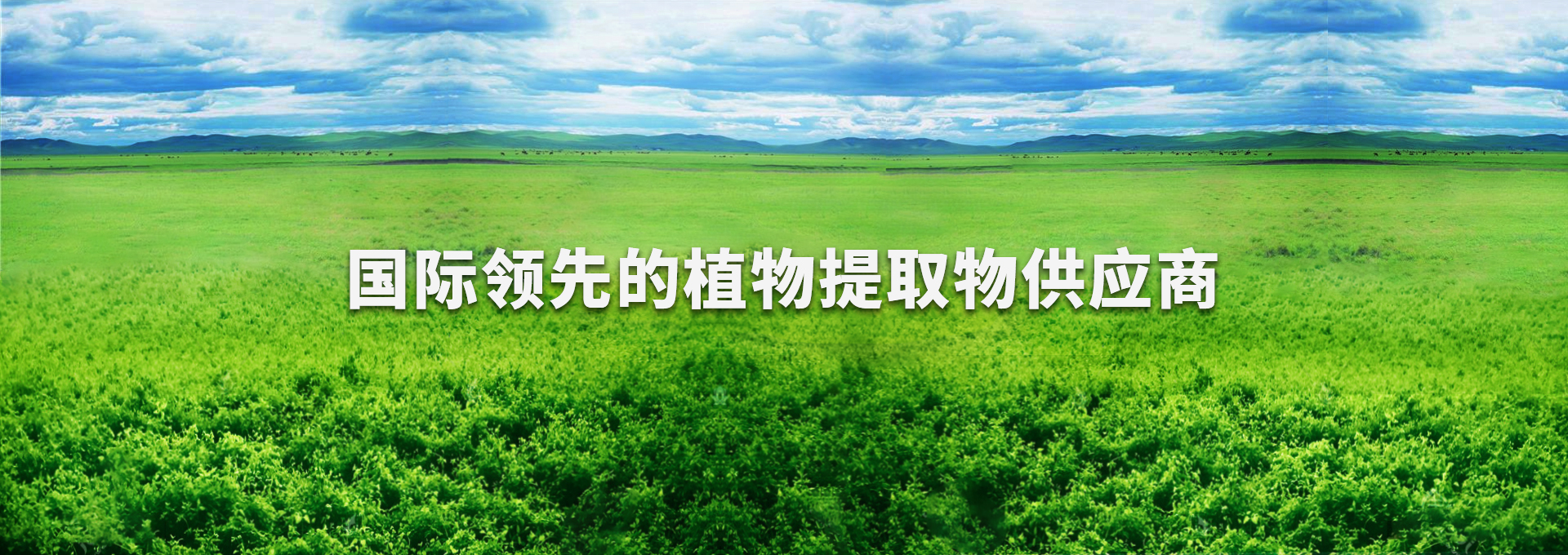 BG大游·(集团)视讯官方网站