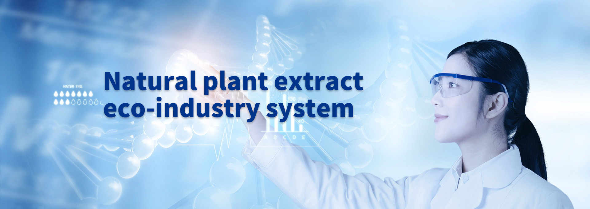 BG大游·(集团)视讯官方网站