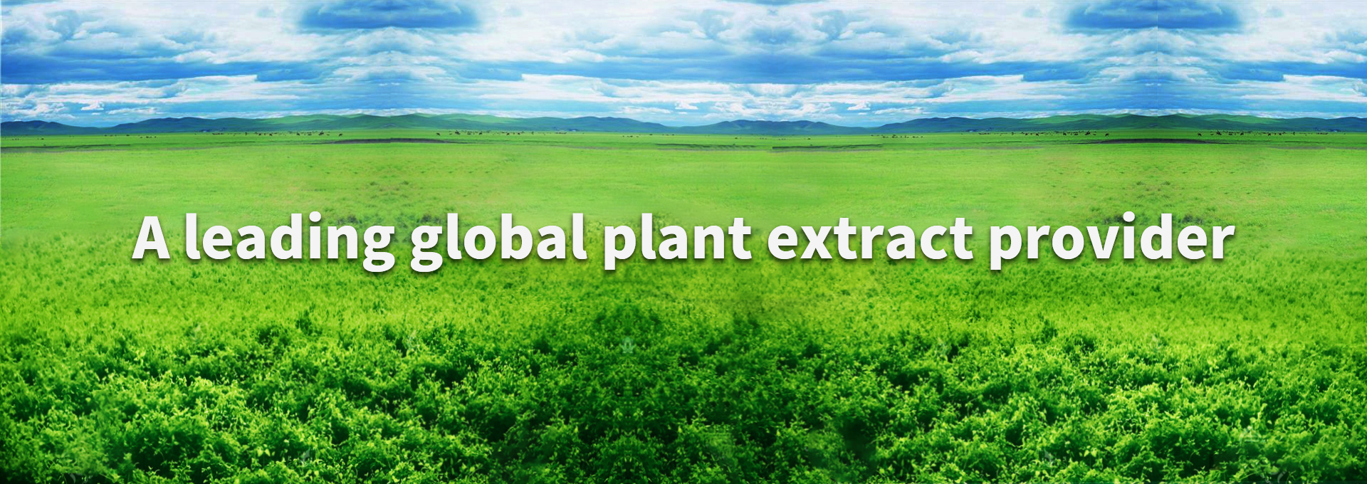 BG大游·(集团)视讯官方网站