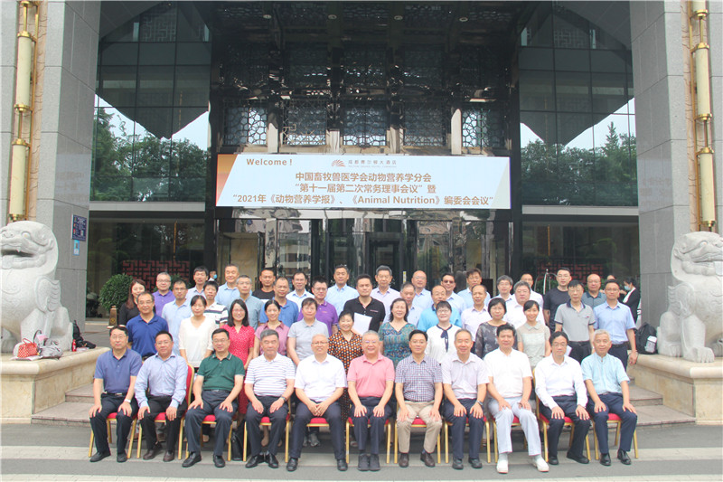 BG大游·(集团)视讯官方网站