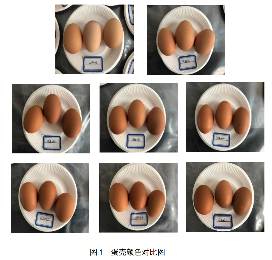 BG大游·(集团)视讯官方网站