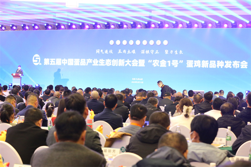 BG大游·(集团)视讯官方网站