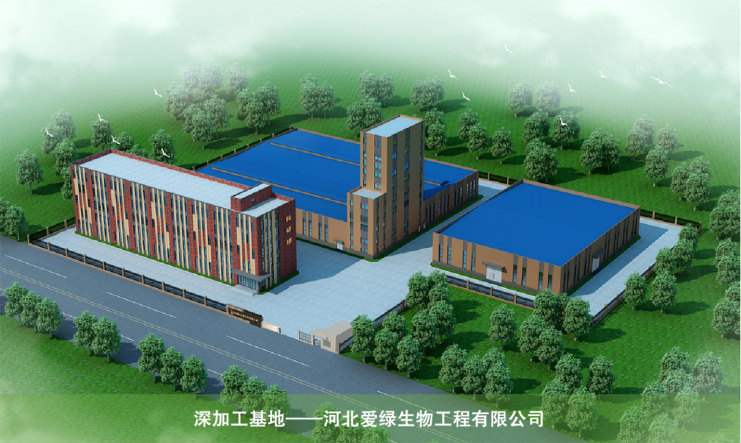 BG大游·(集团)视讯官方网站