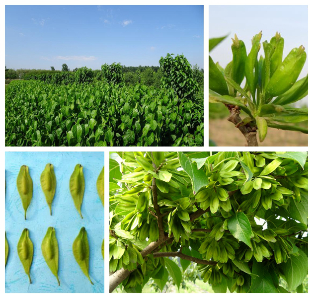 BG大游·(集团)视讯官方网站