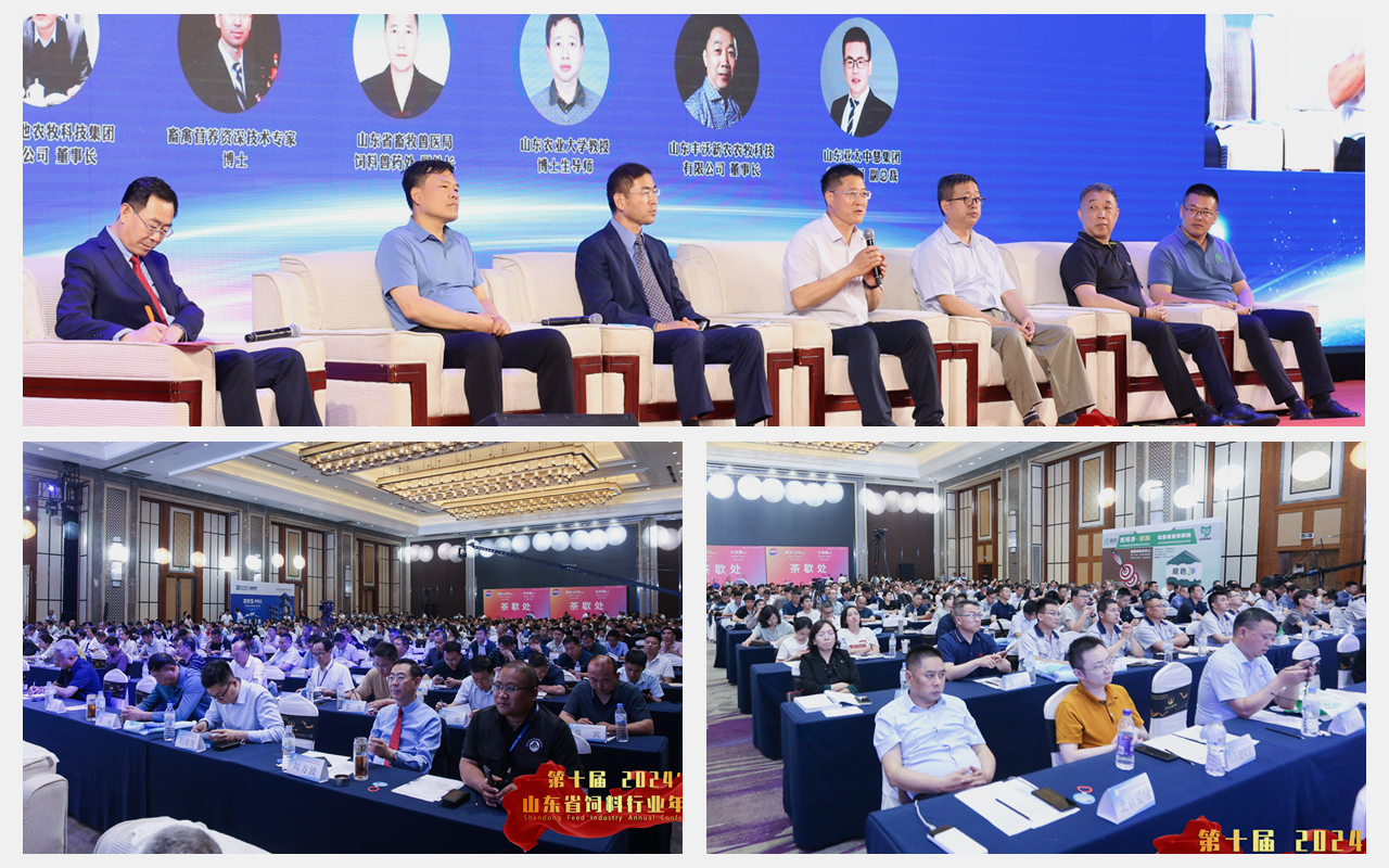 BG大游·(集团)视讯官方网站