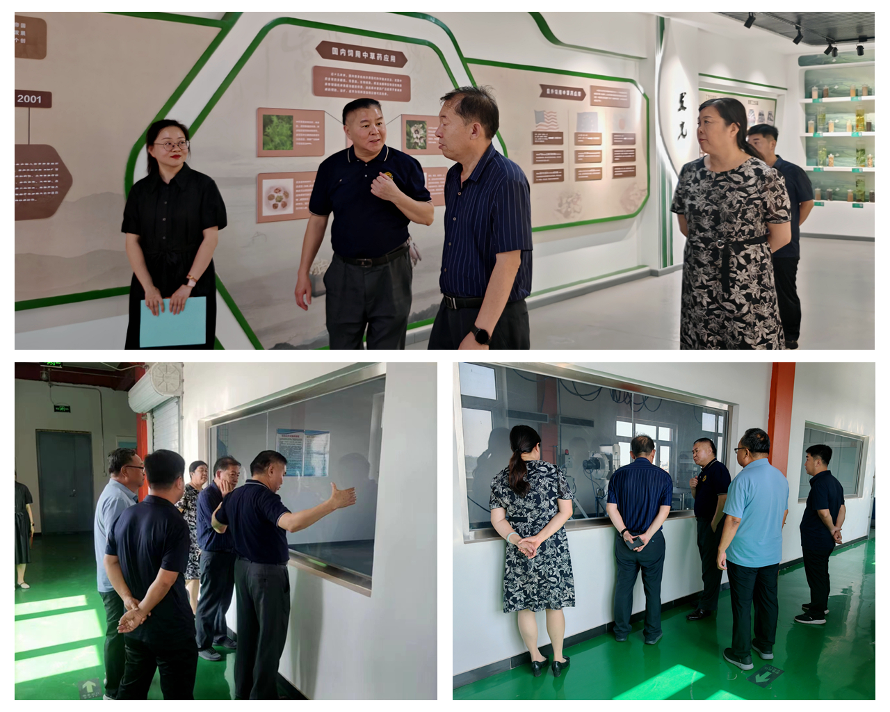 BG大游·(集团)视讯官方网站